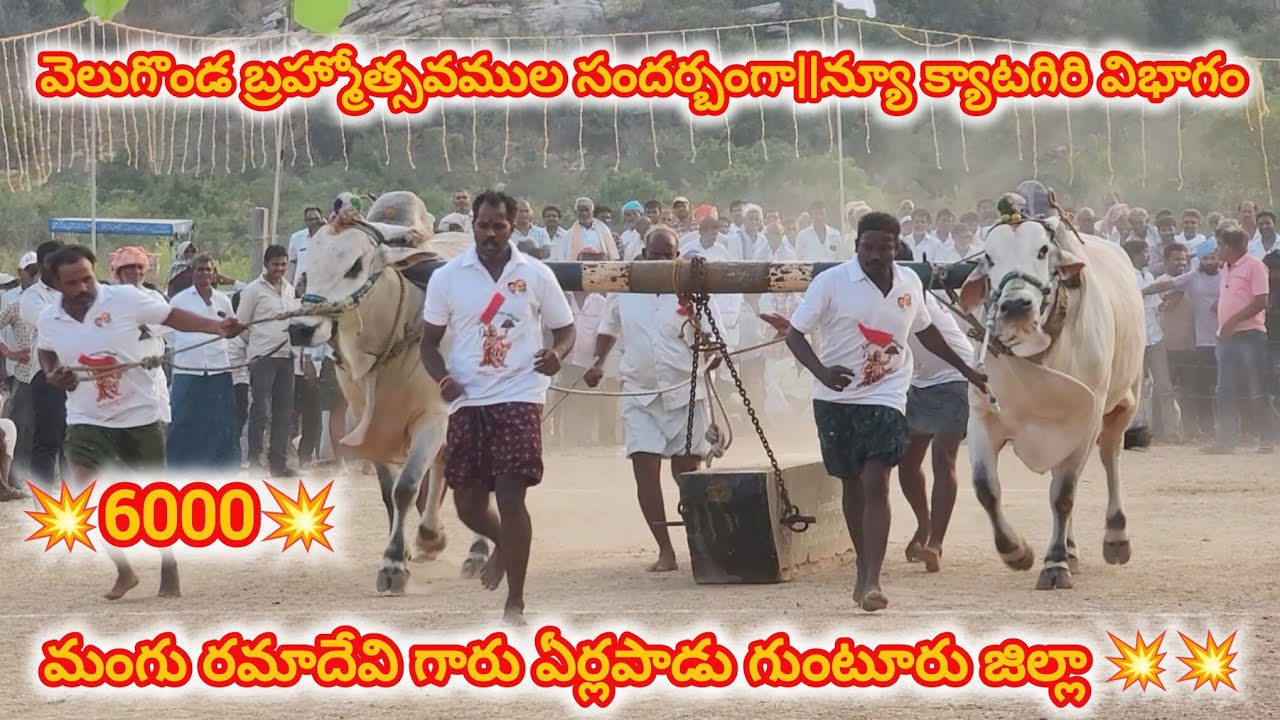 వెలుగొండ బ్రహ్మోత్సవముల సందర్బంగా||న్యూ క్యాటగిరి విభాగం 10వ జత మంగు రమాదేవి గారు 12-3-2026💥💥