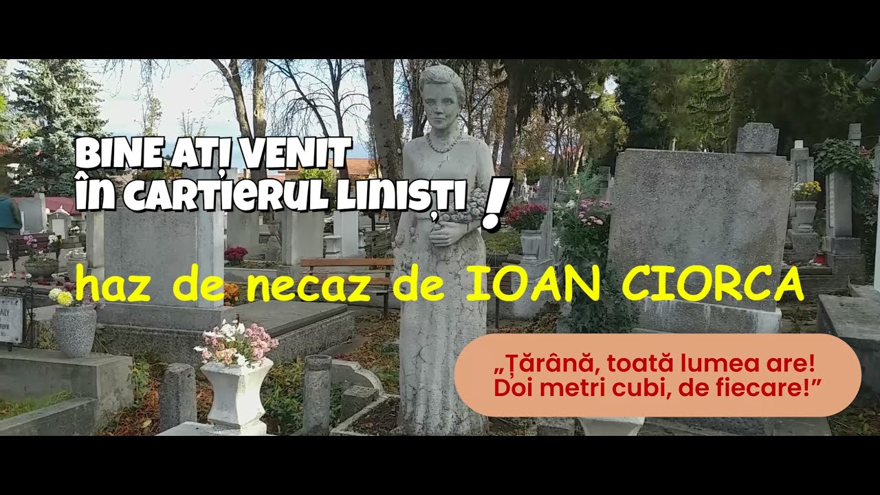 Bine ați venit, în Cartierul „Liniști”