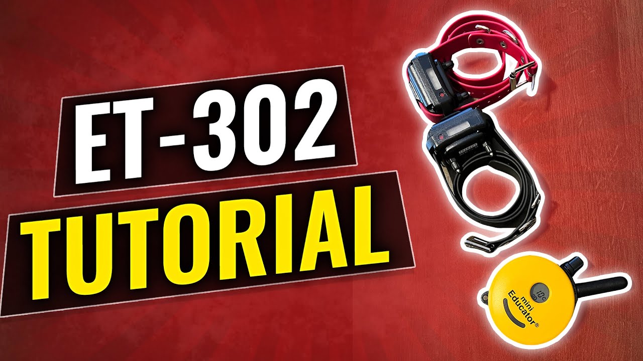 Et 302 by E Collar Technologies | How to perform basic functions.