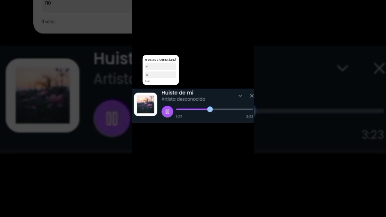 huiste de mi-Bian-Zi