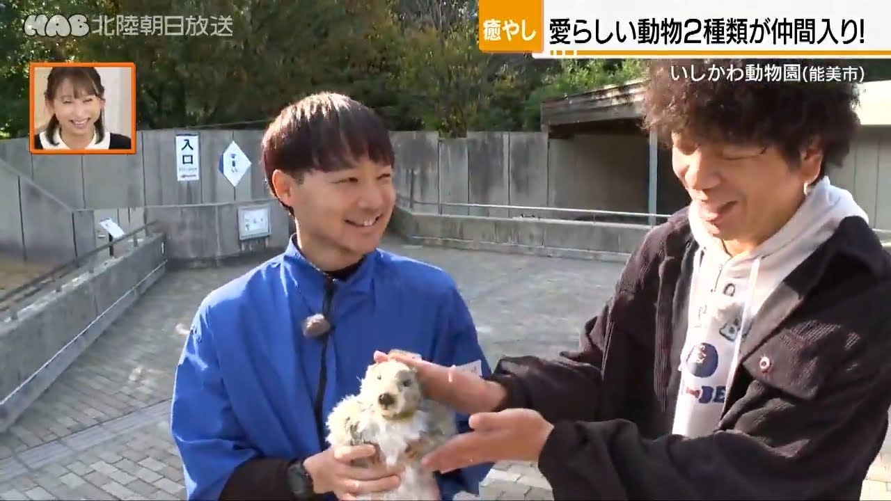 いしかわ動物園に「ウッドチャック」が仲間入り！