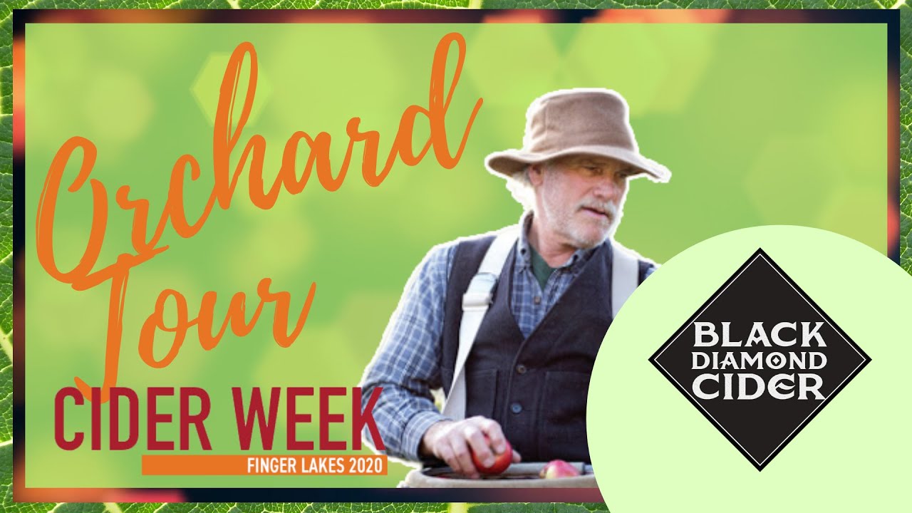 ORCHARD TOUR: Black Diamond Farms