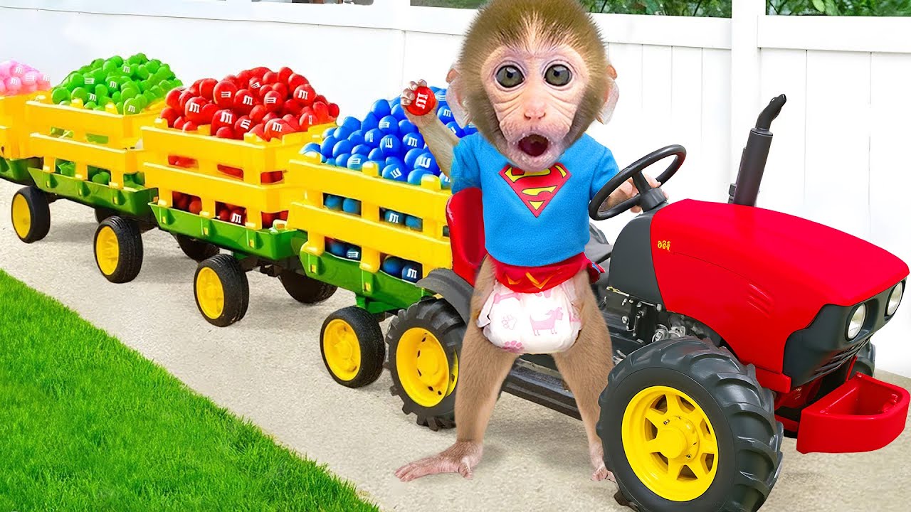 小猴Gogo嚇壞了彩色巧克力拖車🍫🌈| Gogo Monkey Life