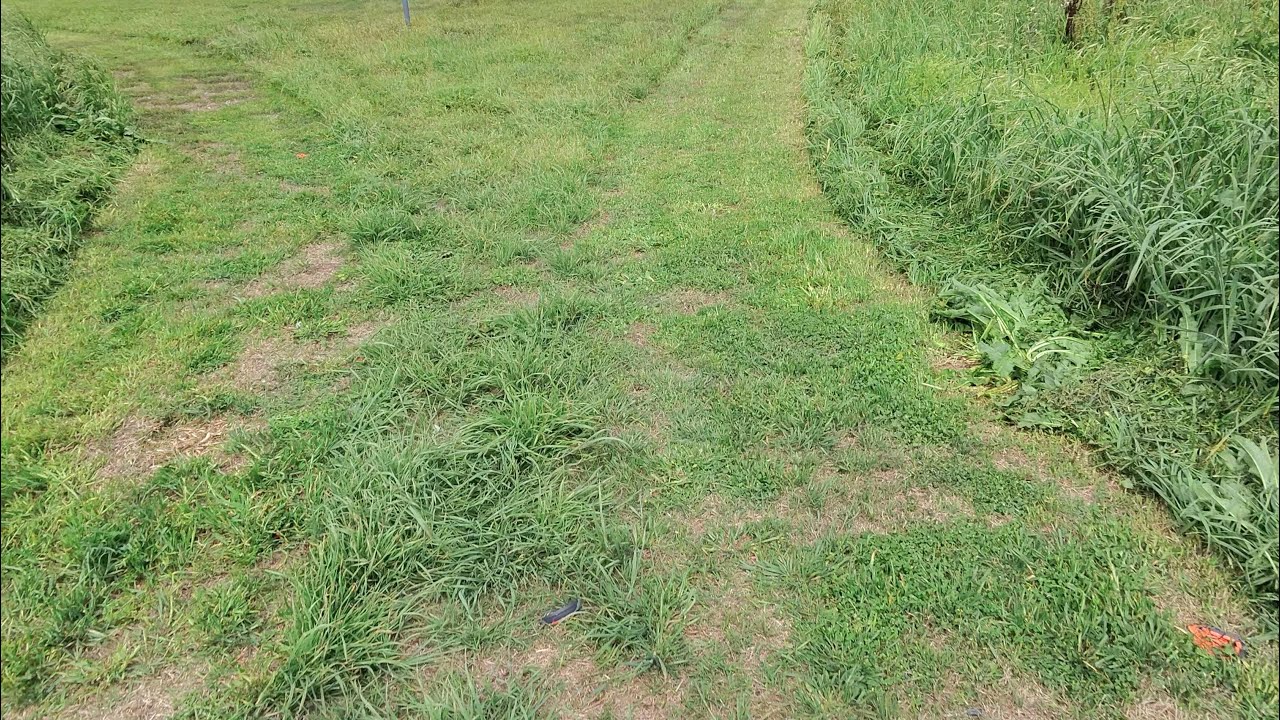 Cutting the grass