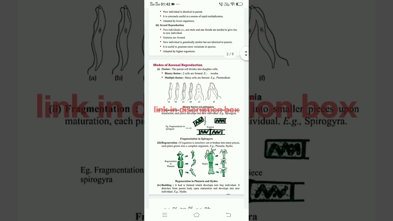class 10 /chapter -8/How do organism reproduce /science  notes new syllabus wise/cbse board