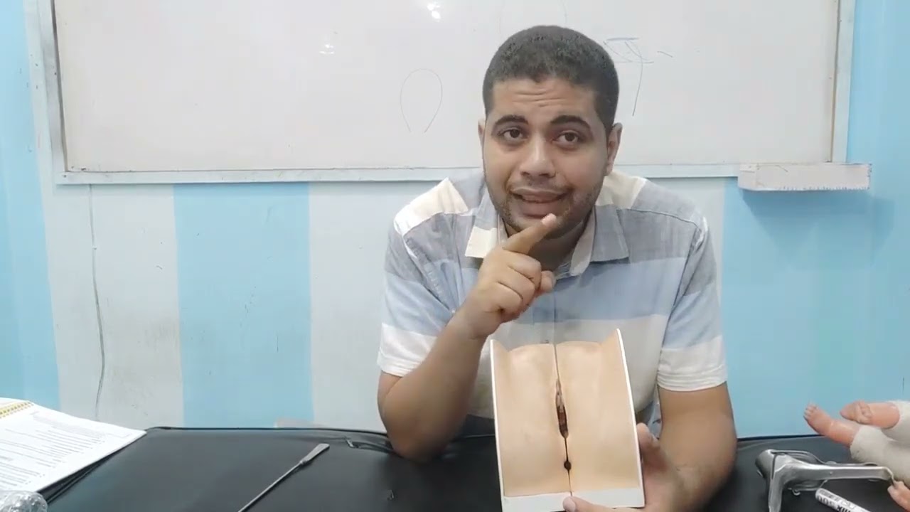 examination 3