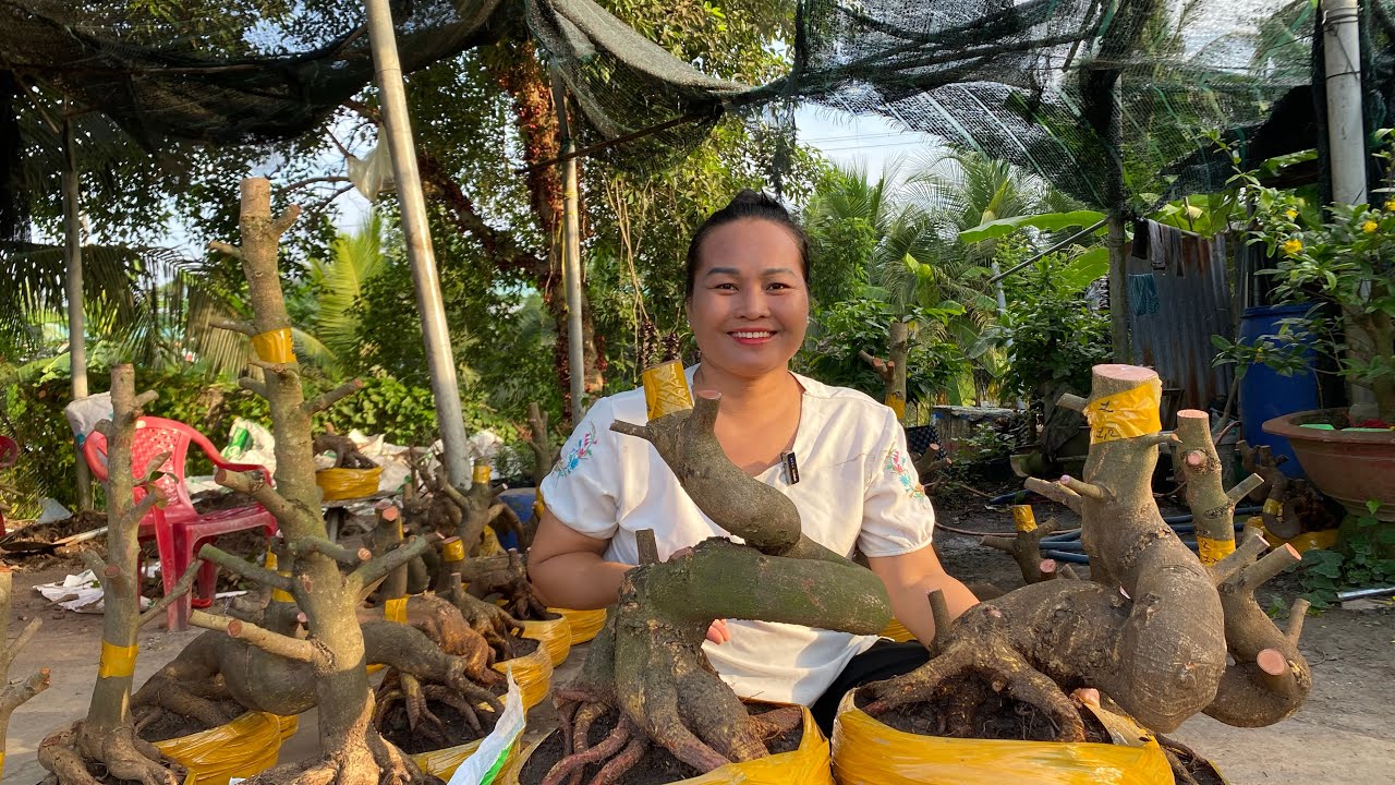 12/03/ ngọc (0907321470) Gl lô mai phôi dảo hạt thủ Đức đế đẹp giá rẻ kính mời ❤️❤️❤️
