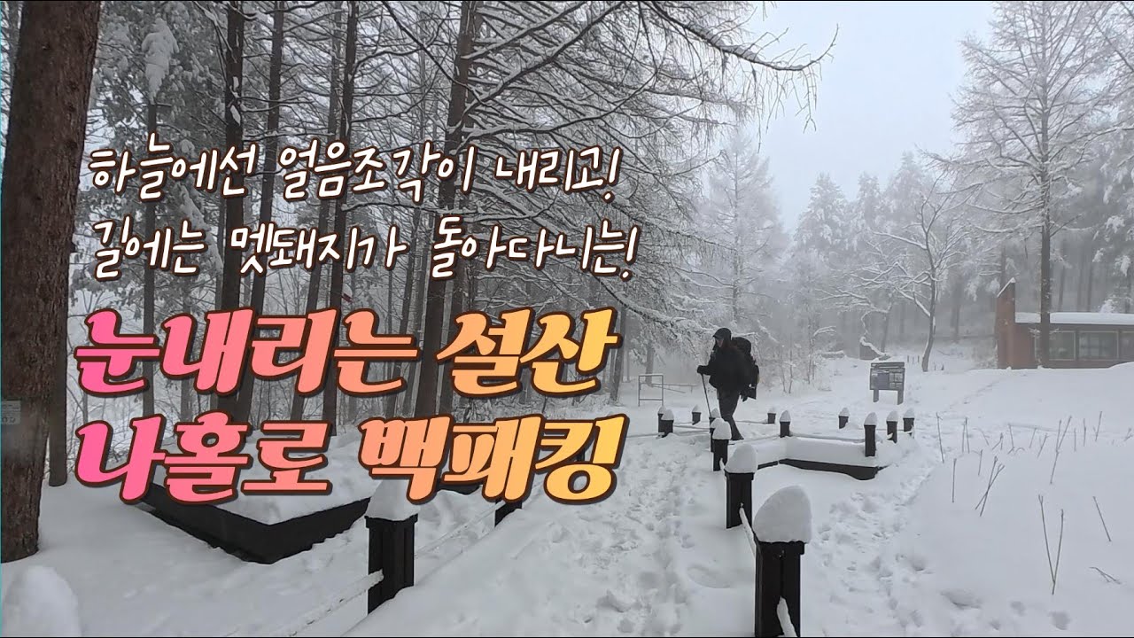 ❄️비? 눈? 태기산 백패킹! 하늘에서 얼음도 떨어지고 멧돼지도 만나고..