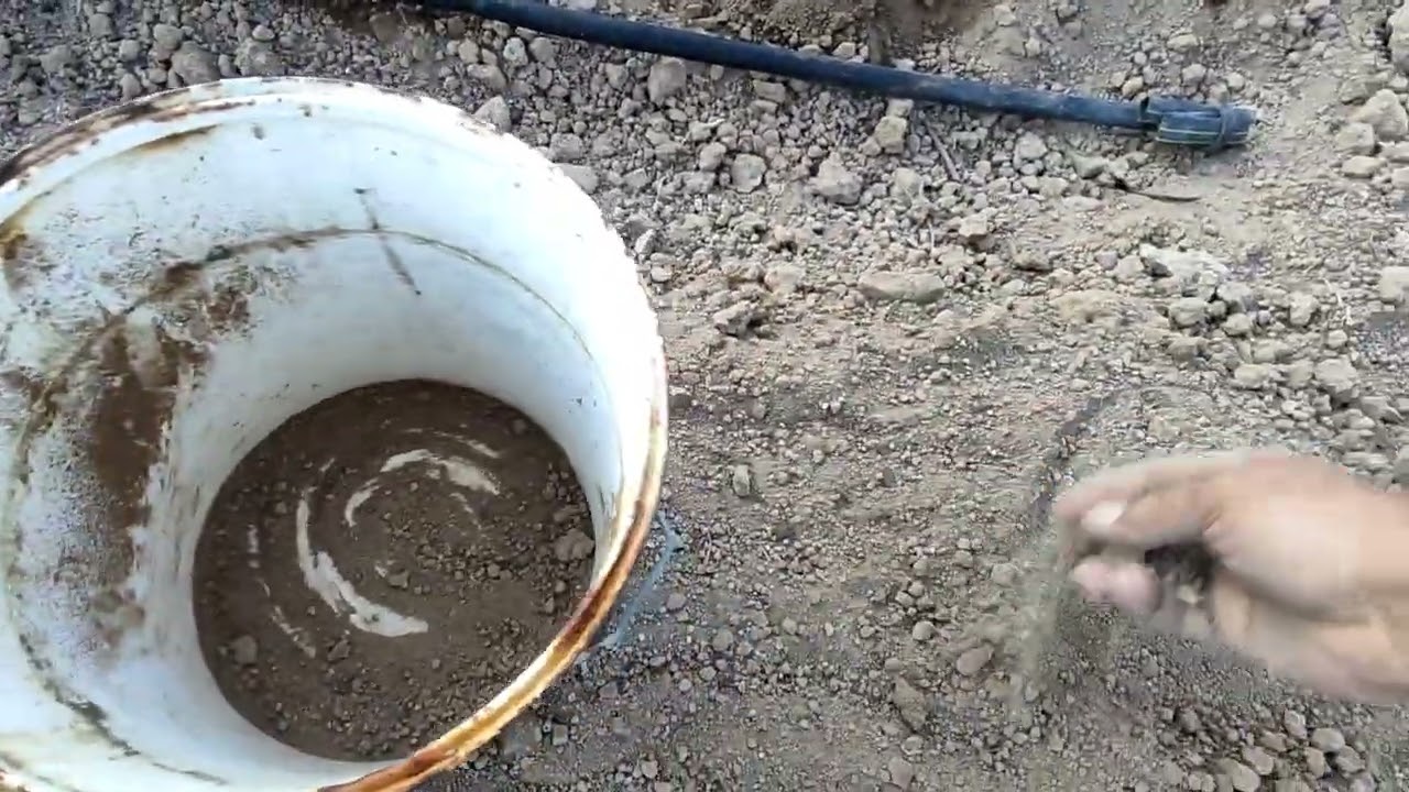Cómo sembramos las espinacas