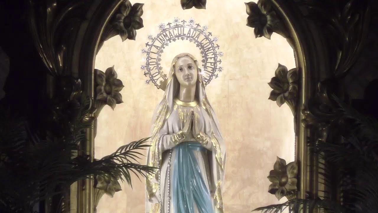 VIRGEN DE LOURDES. Rosario con Santísimo y misa presidida por Florencio Roselló. Obispo