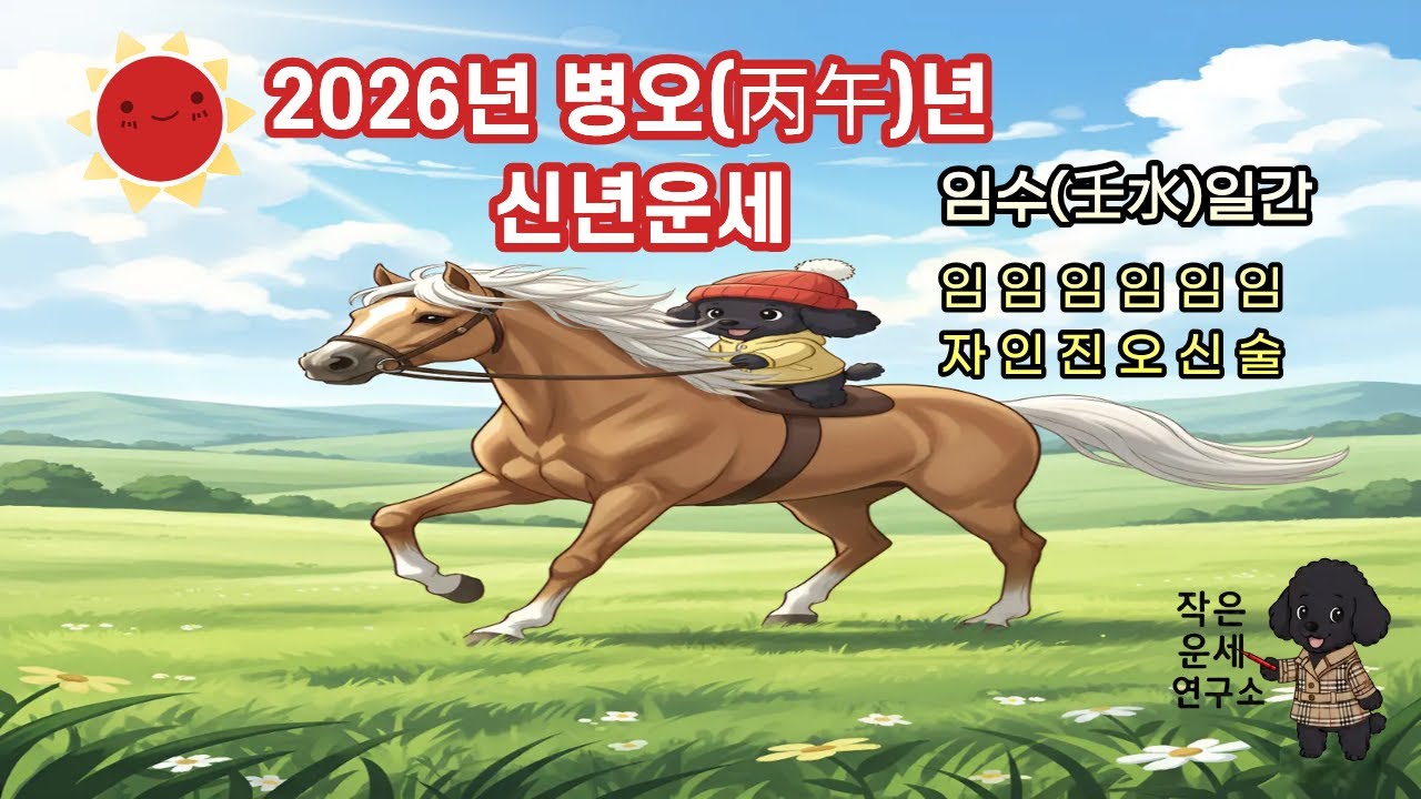2026년 병오년 임수(壬水) 일간 운세 총정리 | 임자·임인·임진·임오·임신·임술일주 : 내 실속 확실히 챙기는 법🌊