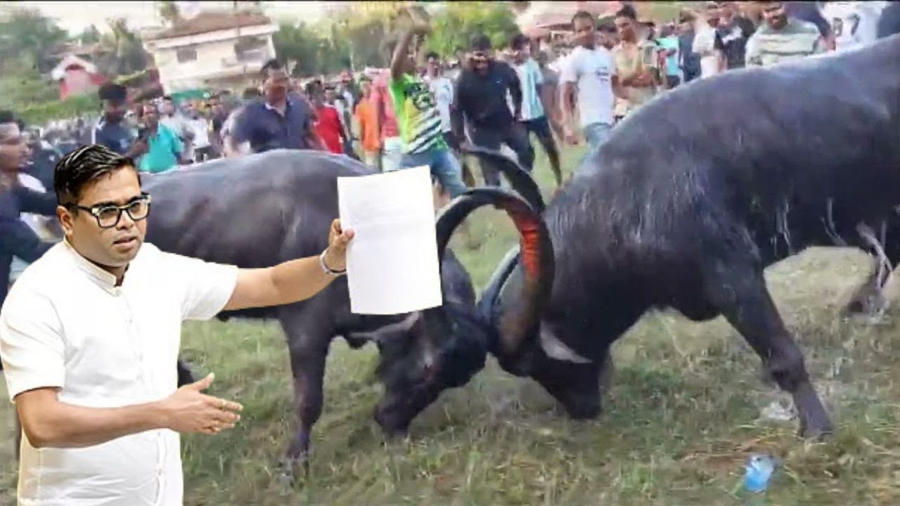 MLA JIT Calls For Regularizing Dhirio