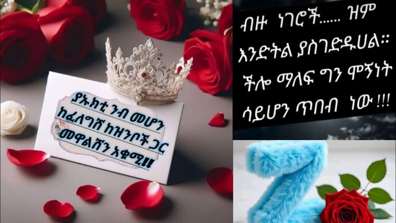 ያኡክቲ ንብ መሆን ከፈለግሽ ከዝንቦች ጋር መዋልሽን አቁሚ!!👌