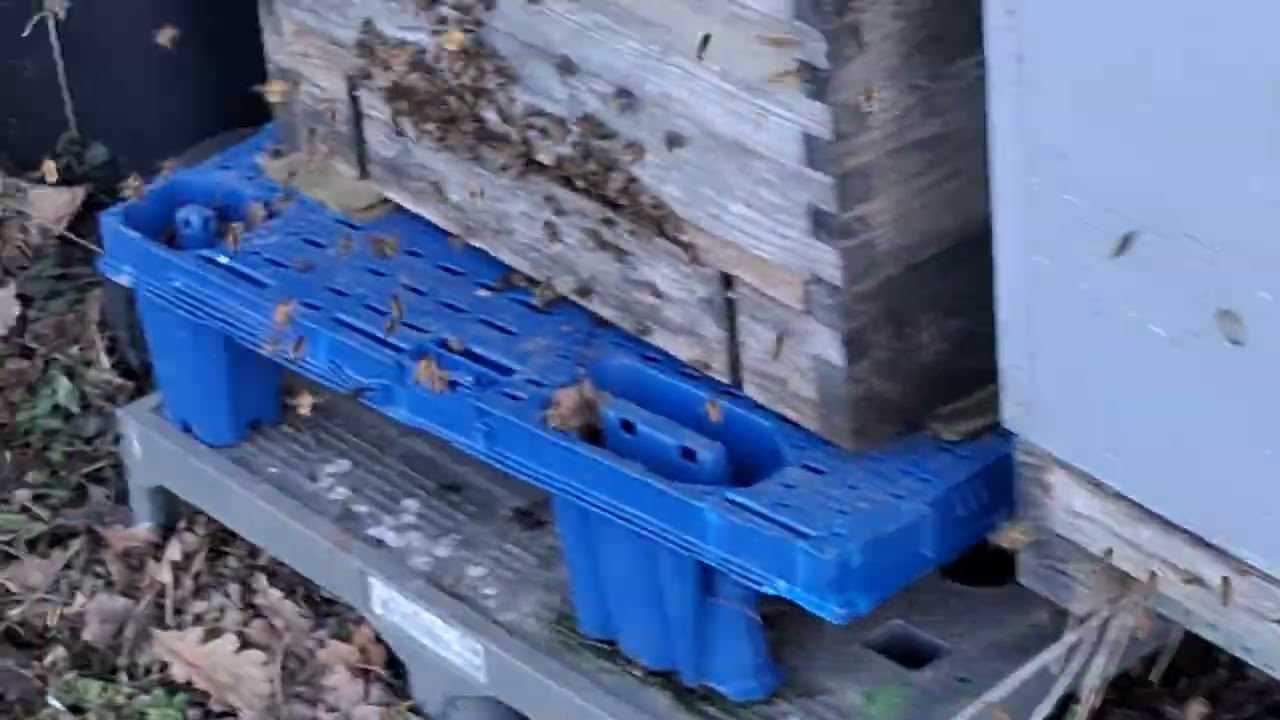 Какое приятное совпадение,  журавли возвращаються.