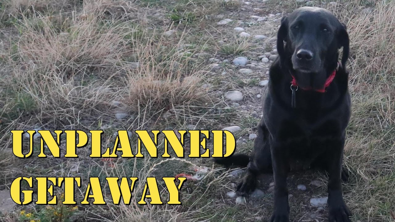 You Won't Believe What We Saw on Our Walk!