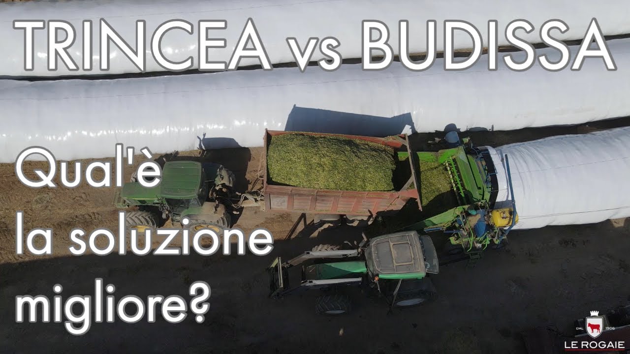 Trincea VS Budissa Bag - Come conservare i foraggi? What is the best way to store fodder? SUB ENG🇬🇧
