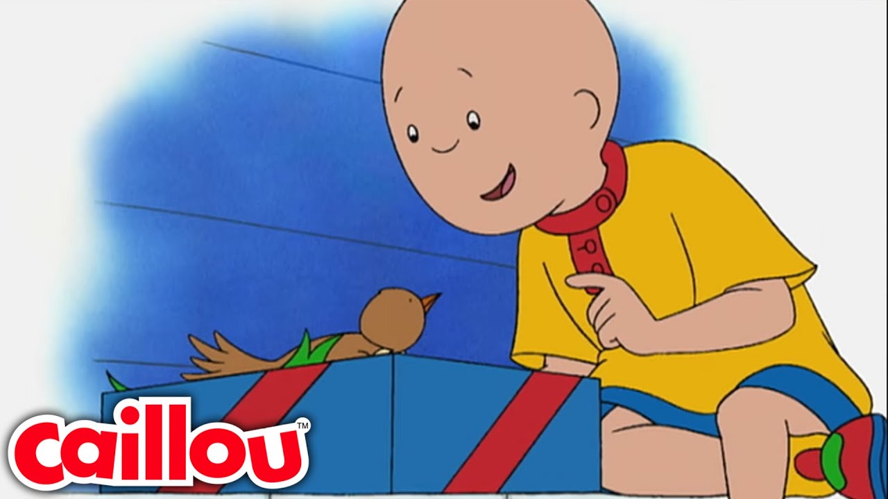 El pequeño pajarito | Caillou Español Castellano - WildBrain | Caricaturas para niños