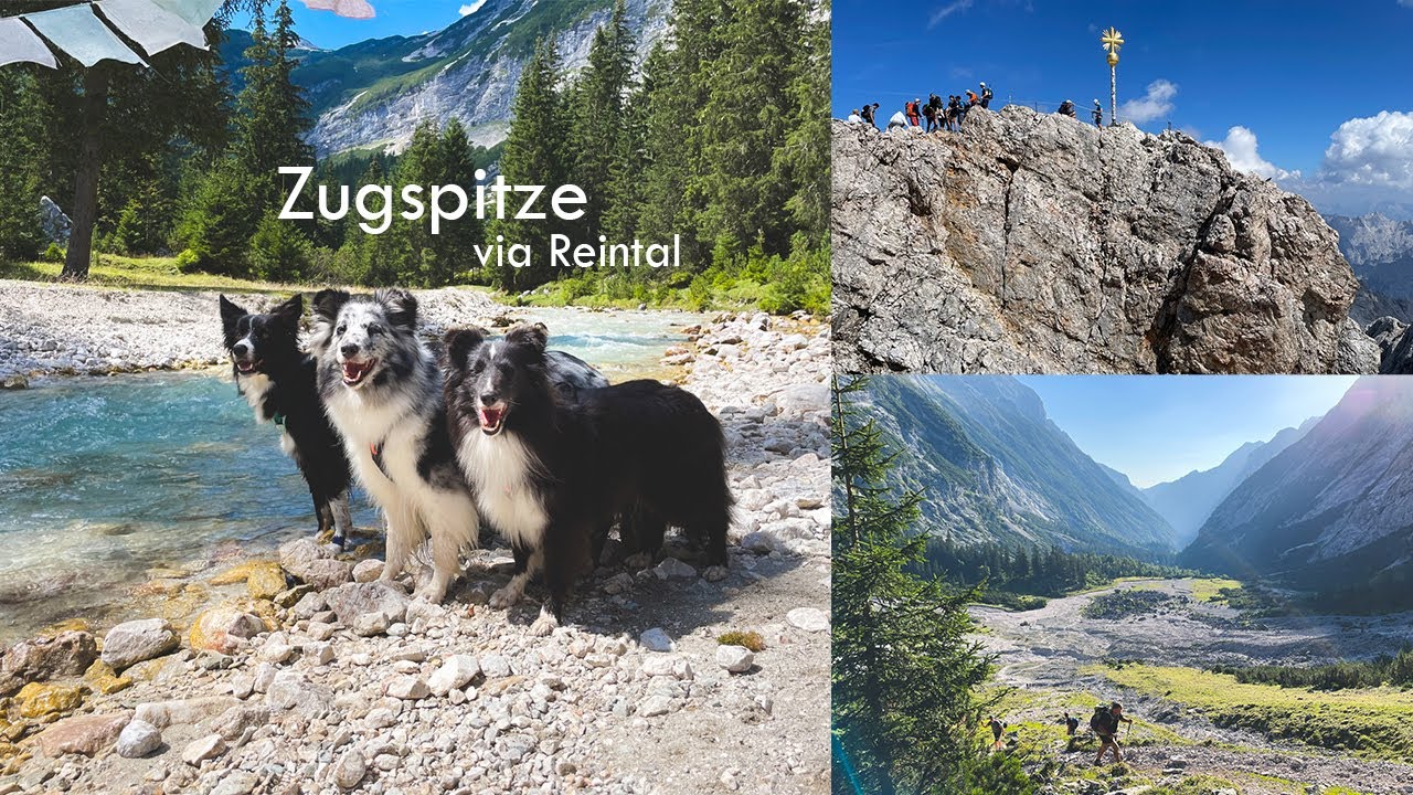 Mit drei Hunden auf die Zugspitze - geht das?! Unsere Tour über das Reintal.