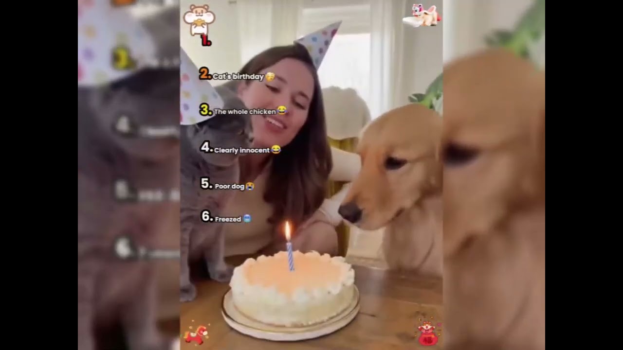 🤣👌👌👌2026 pov Must-Watch Crazy Clips Compilation #humor #fypシ #pov #fyp #foryou 😍😜