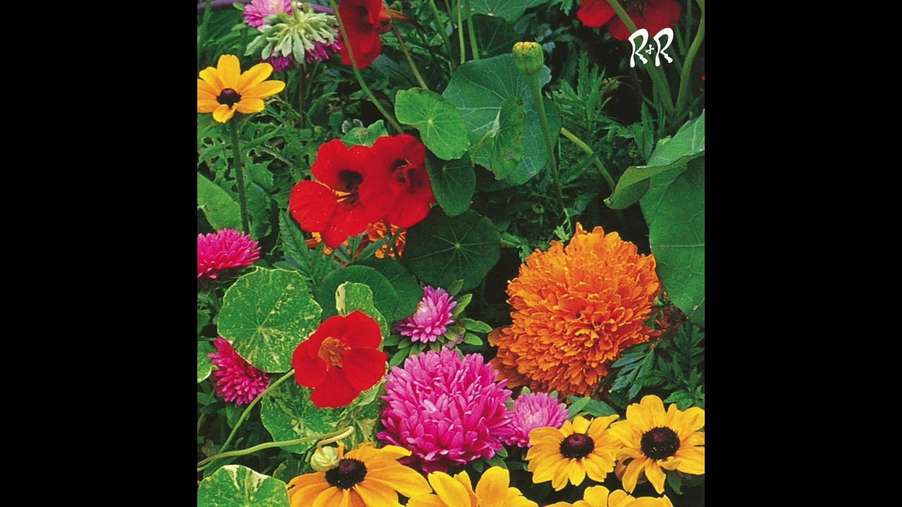 Huerta - Humming Bird (RNR001)