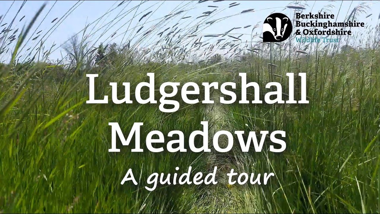 Ludgershall nature reserve thank you tour