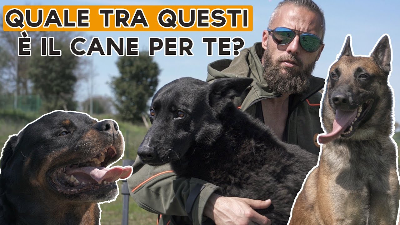 QUALE TRA QUESTI È IL CANE PER TE ?