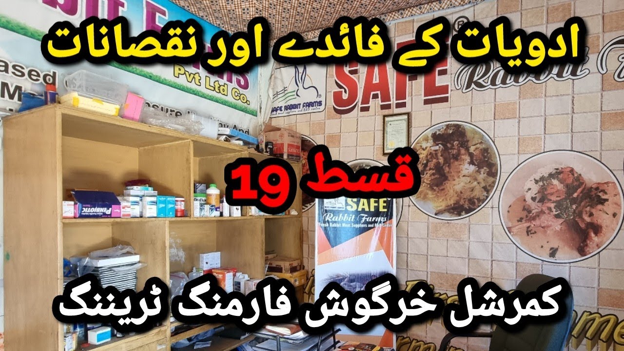 Rabbit Farming Training || Episode 19 || Precautions For Using Medicines At Farm
