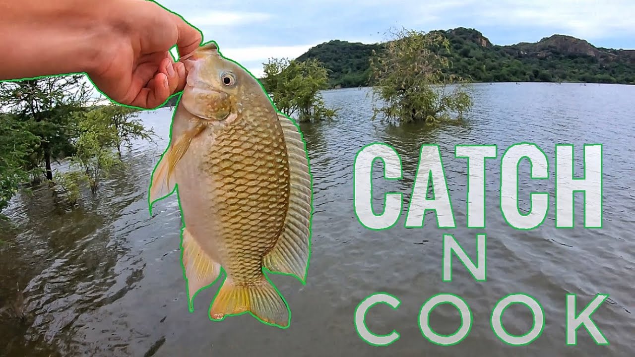 Tilapia(Bream/Kurper) fishing with artificial lures! And CATCH N COOK