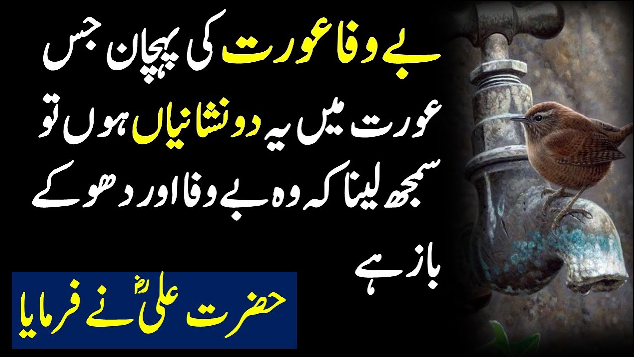Bewafa Aurat Ki Pehchan | Urdu Quotes | Reality Based Quotes About Love | Hazrat Ali RA farmya