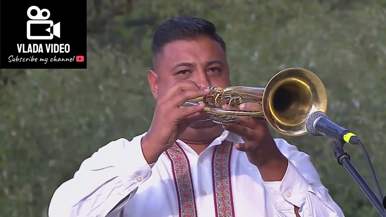 Danijel Kostić - orkestar Danijela Kostića Guča 2024 - finalno takmičenje trubača