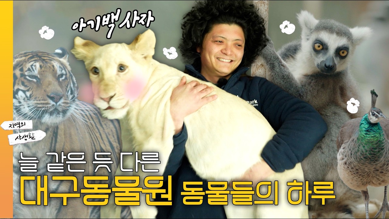 🦁대구동물원 동물들의 겨울나기🐯 I #지역의사생활 260227 방송