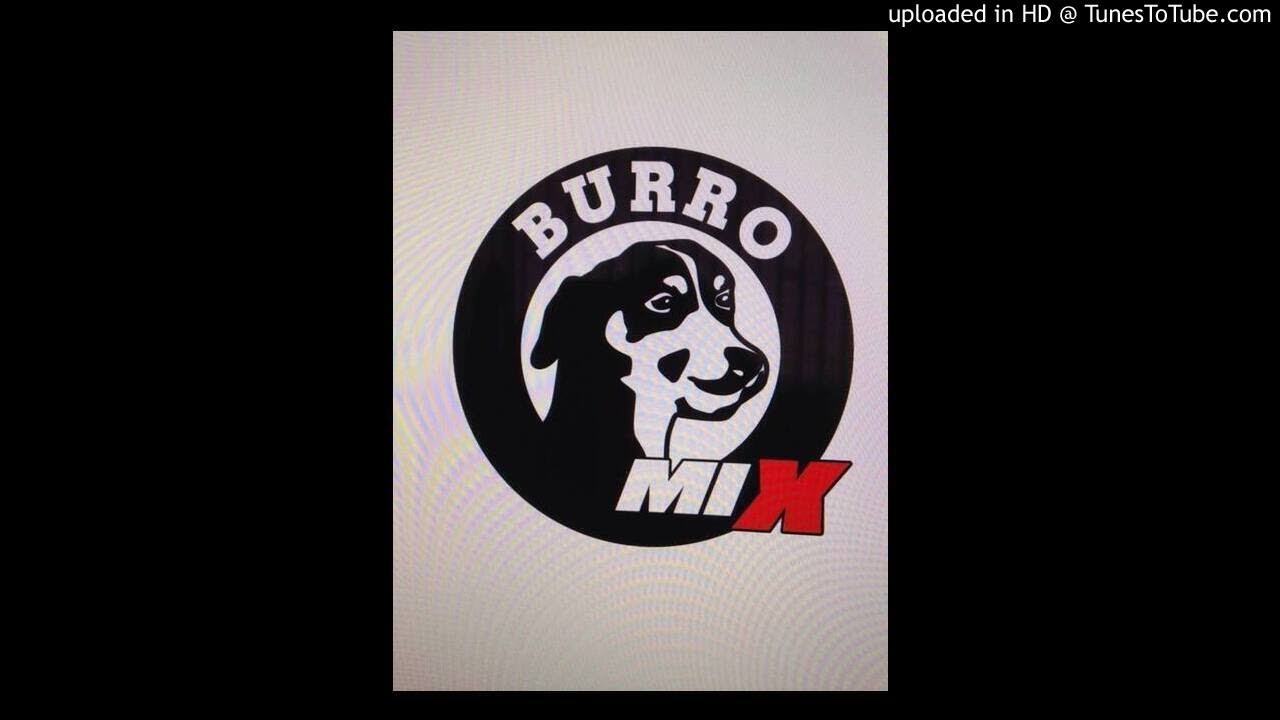 La Vallenata Mix 2 (Burromix)