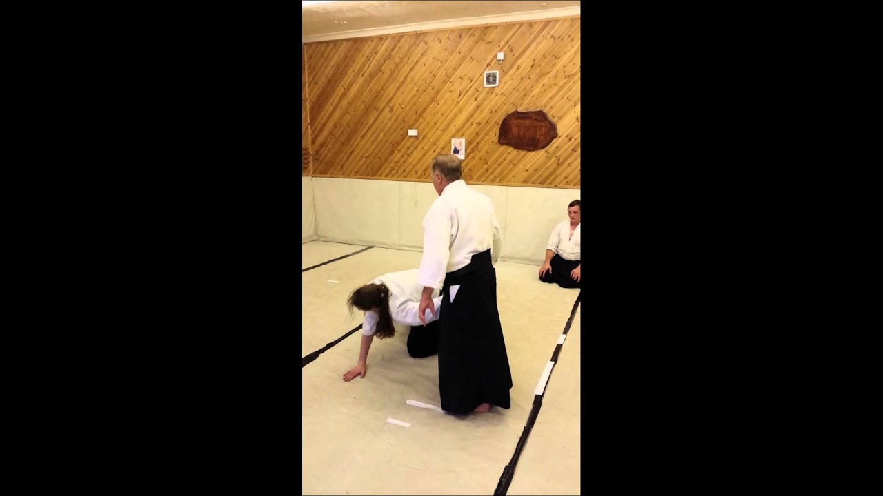 Burry Port shin gi tai aikido