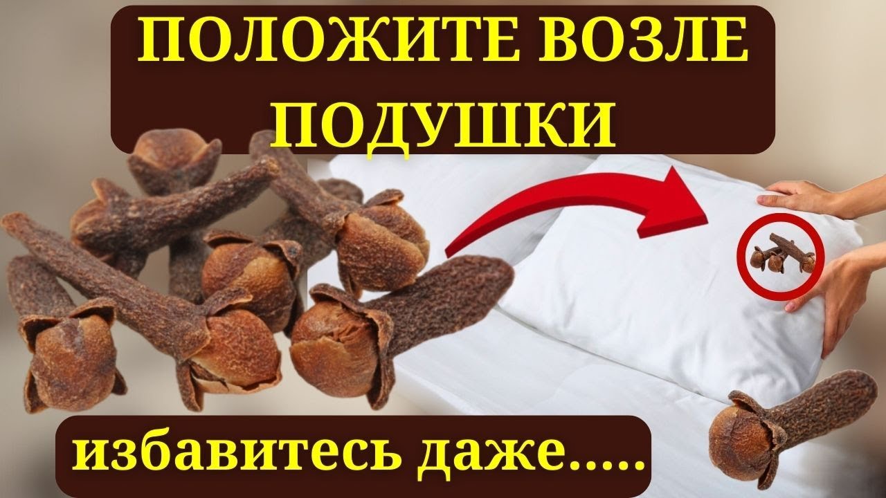 Положите гвоздику рядом с подушкой, и вы не поверите, что произойдет!