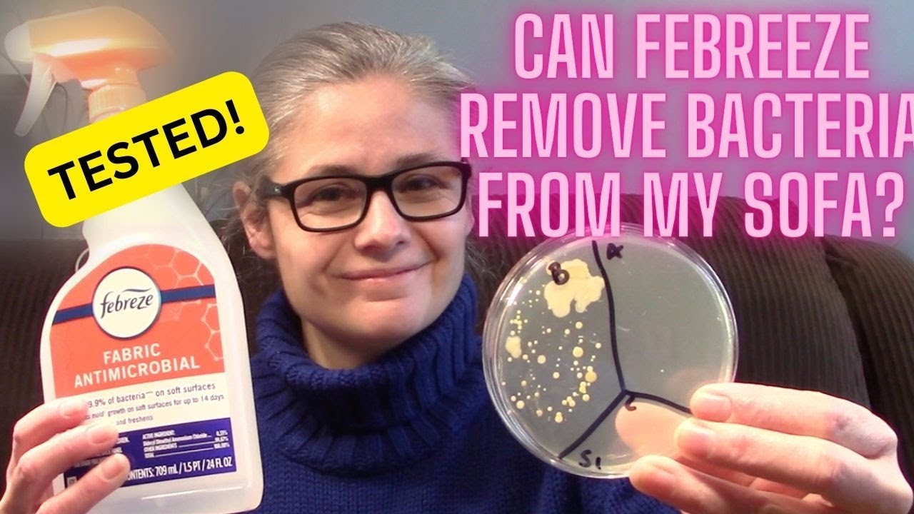 I Tested FEBREEZE FABRIC ANTIMICROBIAL Spray: Did it Remove Bacteria from my Sofa???