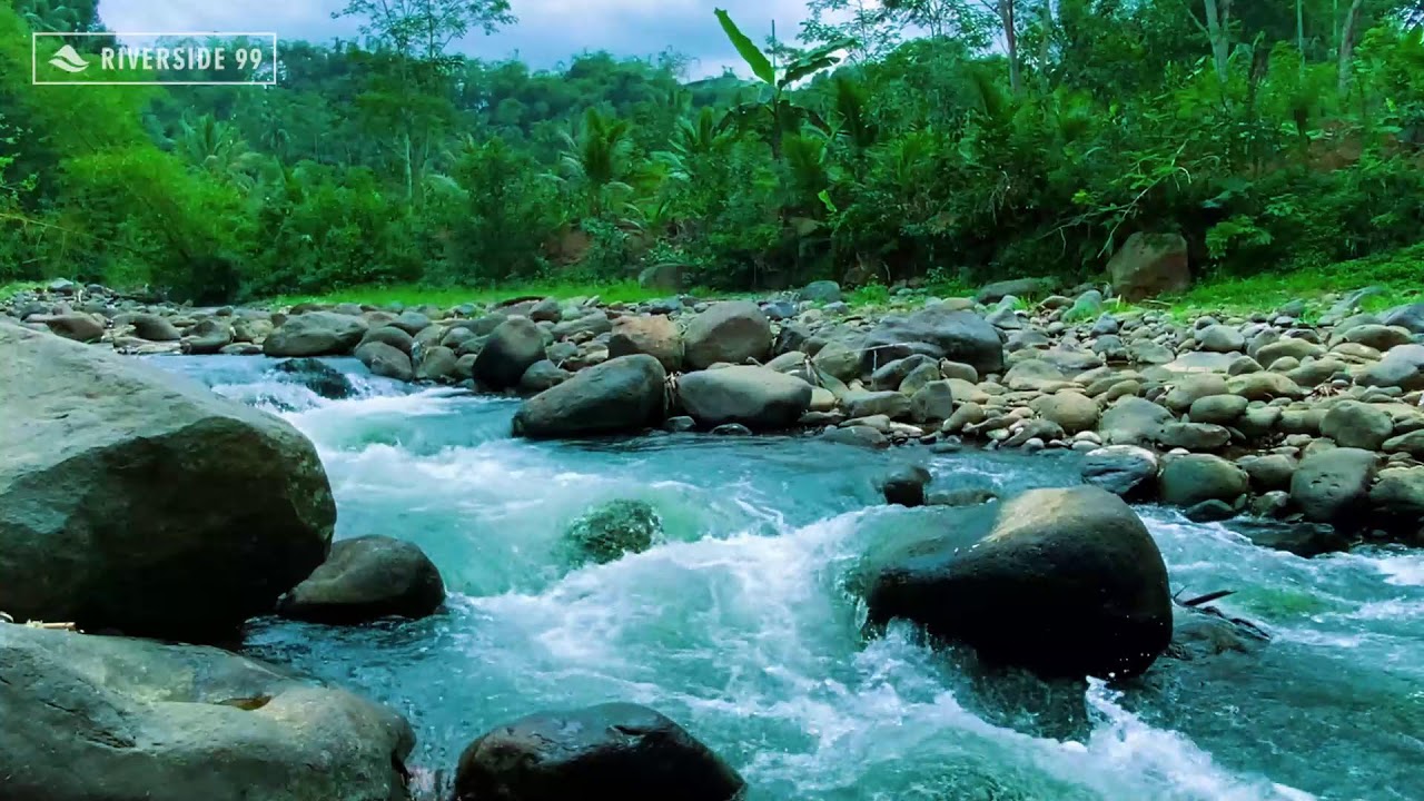 River Sounds for Sleeping Deeply Using Clean River Water Sounds for Peaceful Nights