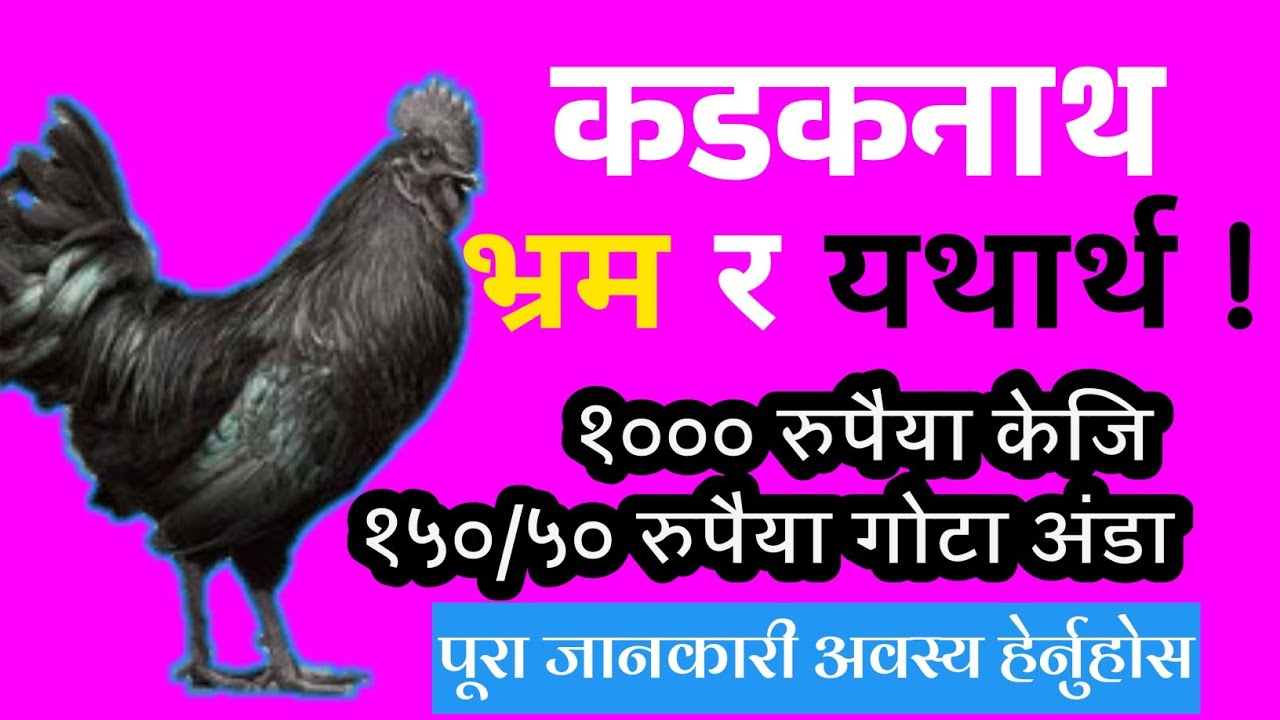 Kadaknath Poultry Farming |How to Start Kadaknath Poultry Farming |Kadaknath Kukhura Palne Tarika