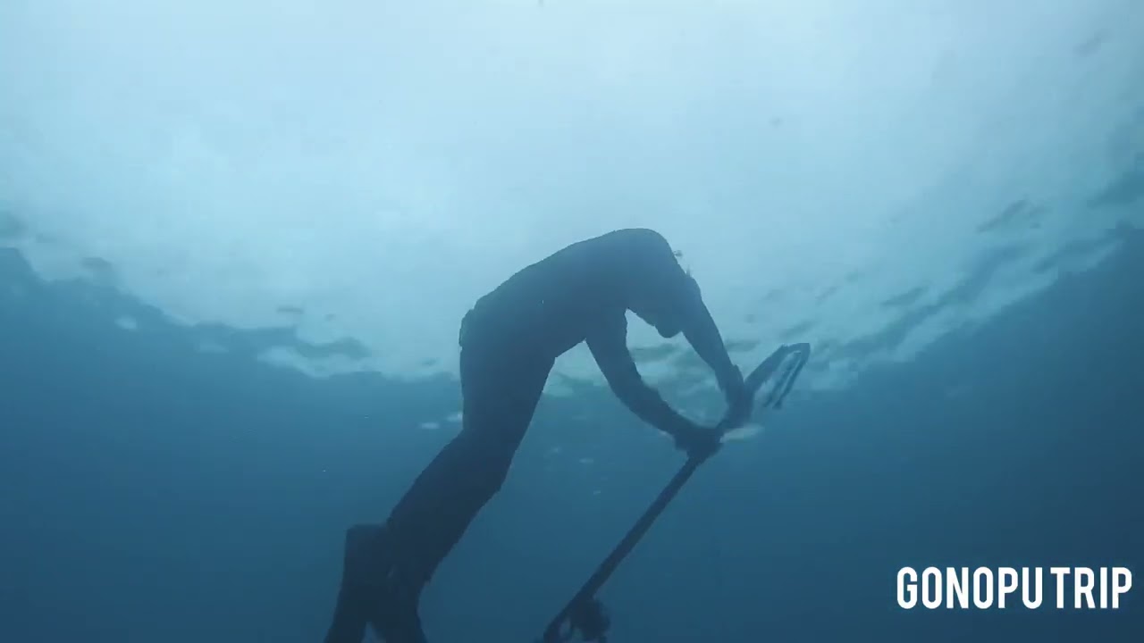 UJI AKURASI SALVIMAR METAL 115 BERSAMA TOUNA FREEDIVE