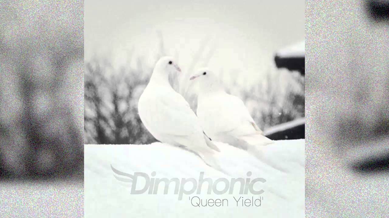 Dimphonic - Queen Yield