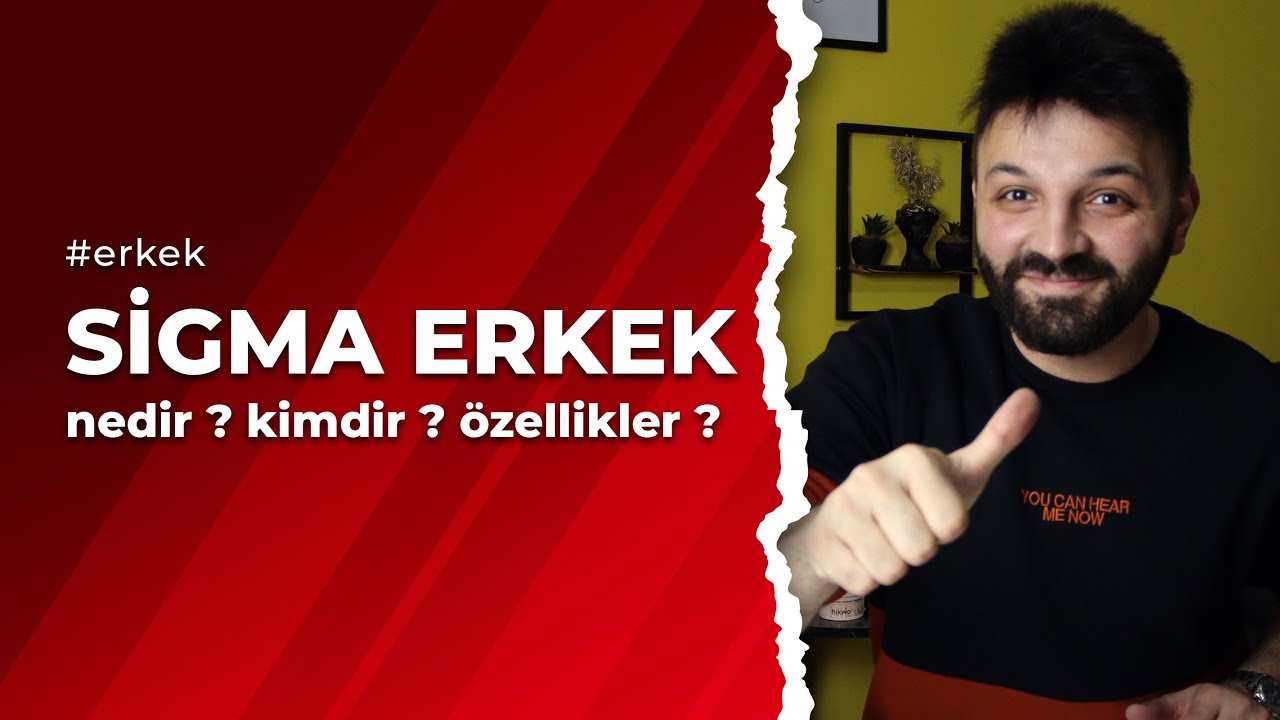 Girişimci Erkek ; Sigma Erkek Nedir ? Kimdir ? Sigma Erkeklerin Özellikleri Nelerdir ?