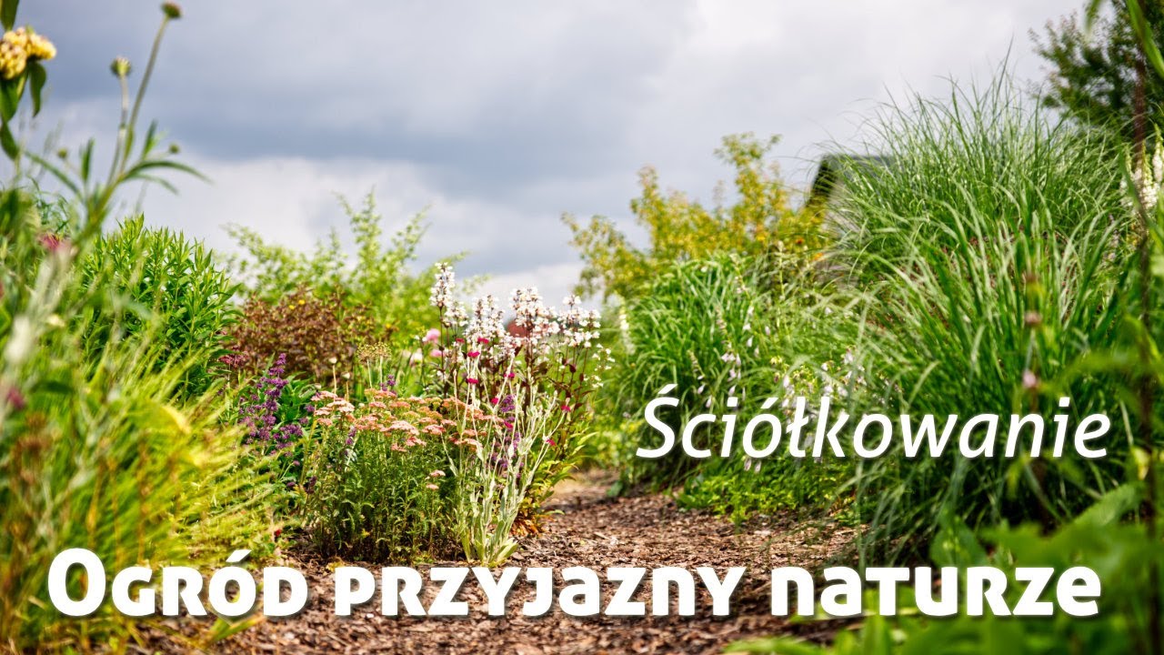 Ogród przyjazny naturze - ściółkowanie