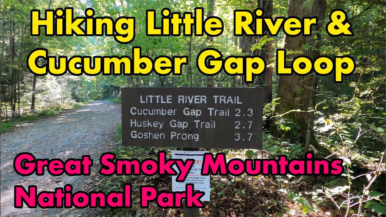 Hiking Little River and Cucumber Gap Loop Trail, GSMNP