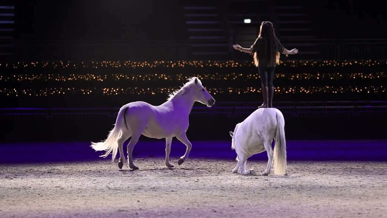 Anne-Gaelle Bertho - HORSE SHOW - Sparks of Freedom 