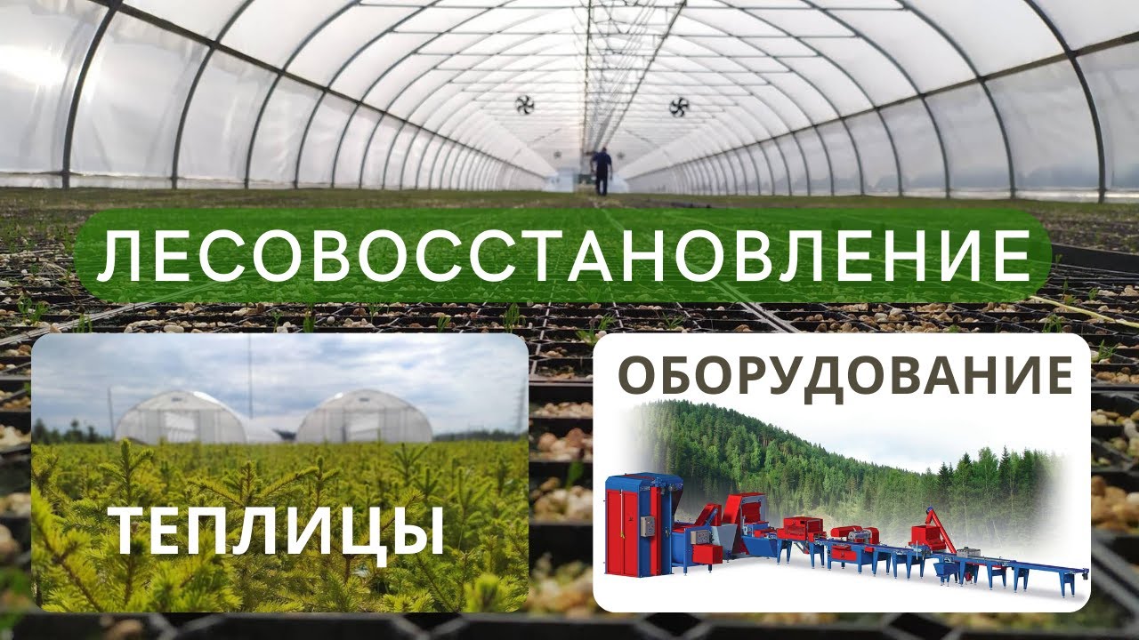 Полезное видео для лесных питомников. Как работают машины от Urbinati