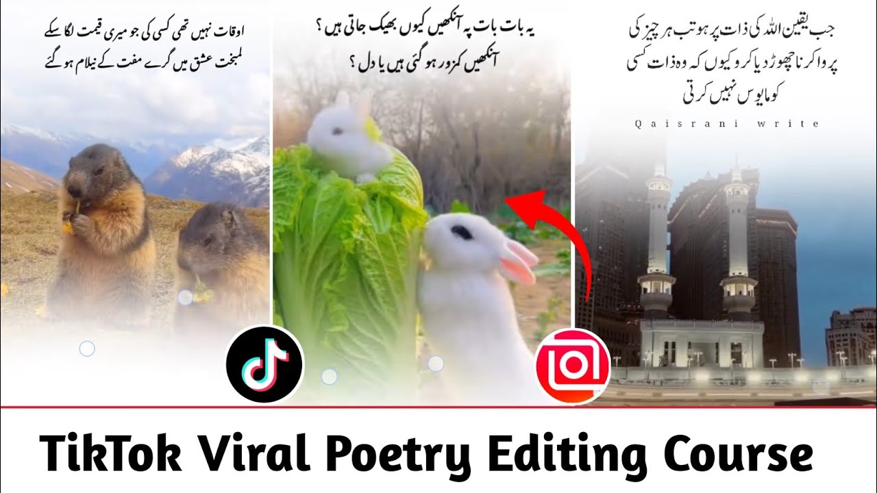 How To Make Trending Border Urdu Poetry Editing | TikTok Trending Poetry Editing | Inshot Video Edit