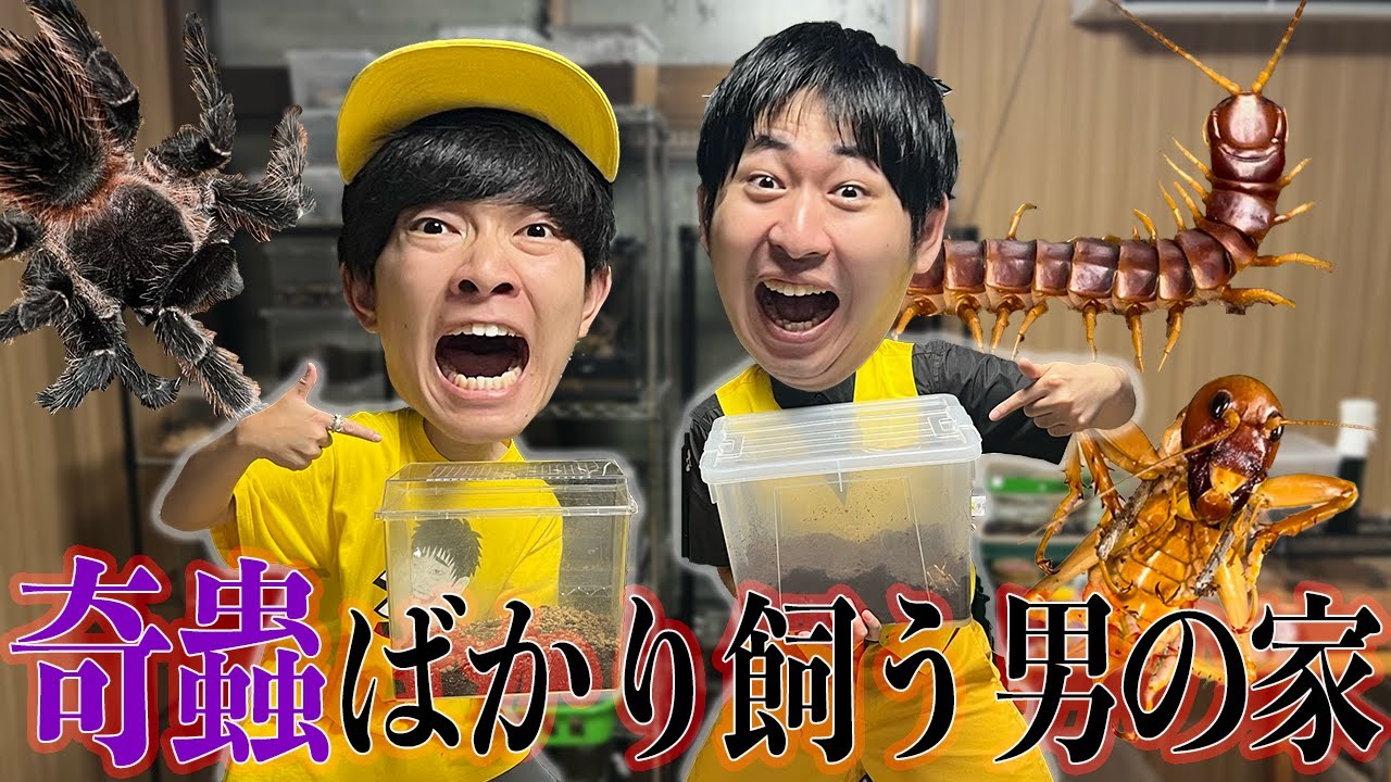 奇蟲を大量に飼育する家に潜入したら驚愕の生き物が……