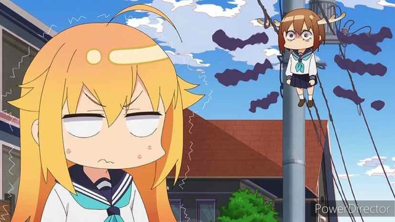 SHIKANOKO NOKONOKO KOSHITANTAN OP VOCALS ONLY/ACAPELLA