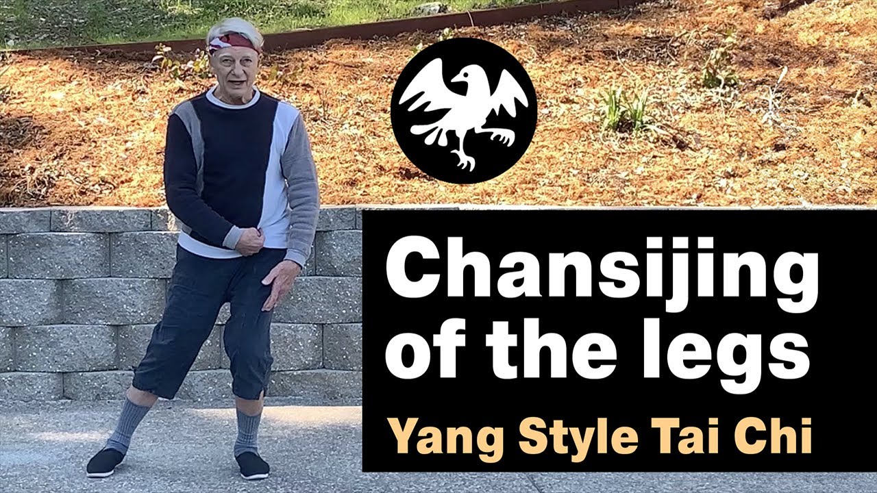 Chansijing of the legs; staying on one level in the solo form; separation; taking steps.