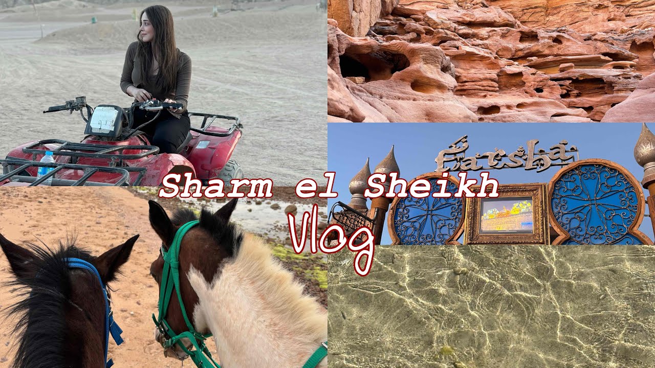 Şarmda tek başıma 6 gün 🐪 | pickalbatros laguna clup, atv, kanyon, farsha ve nicesi 🌵 #sharmelsheikh