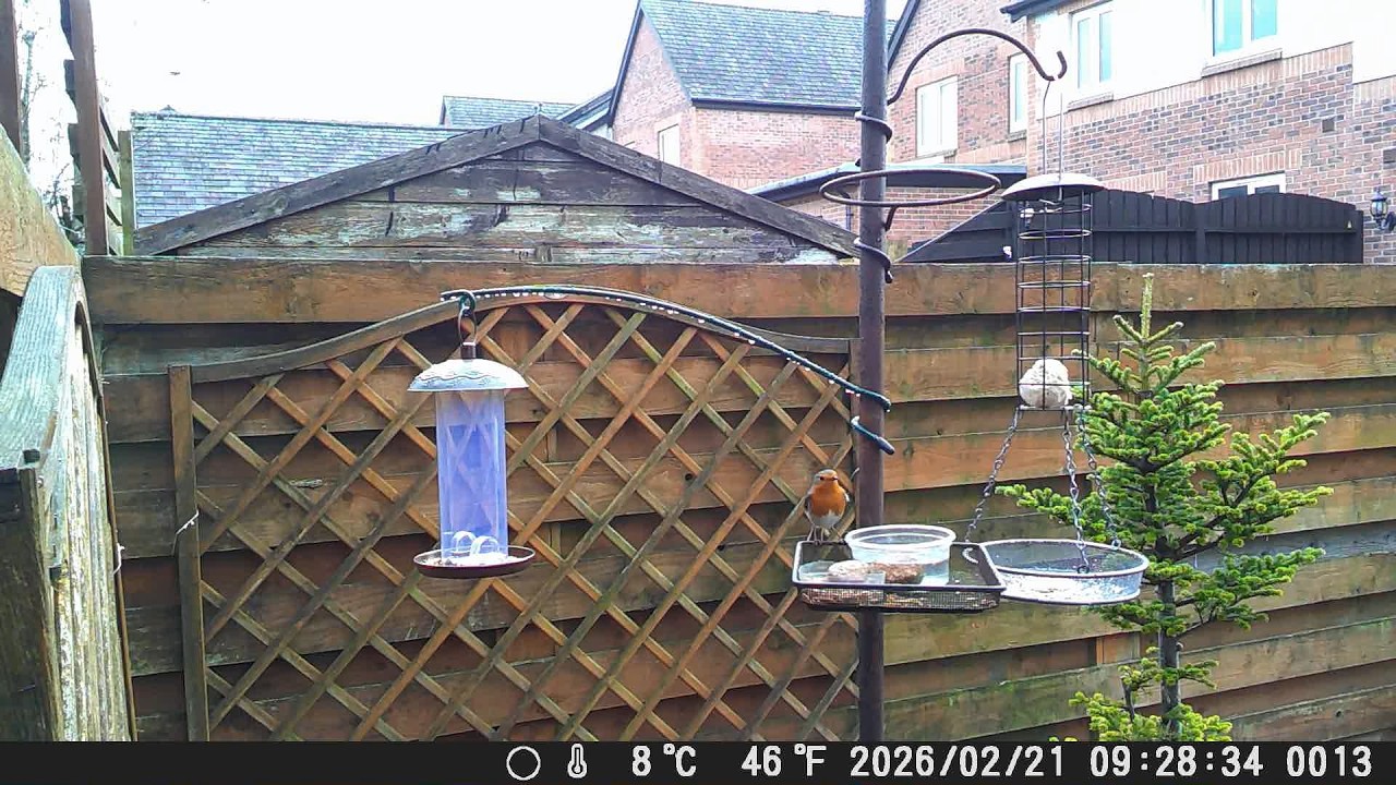 Garden Trail Camera 21st February 2026